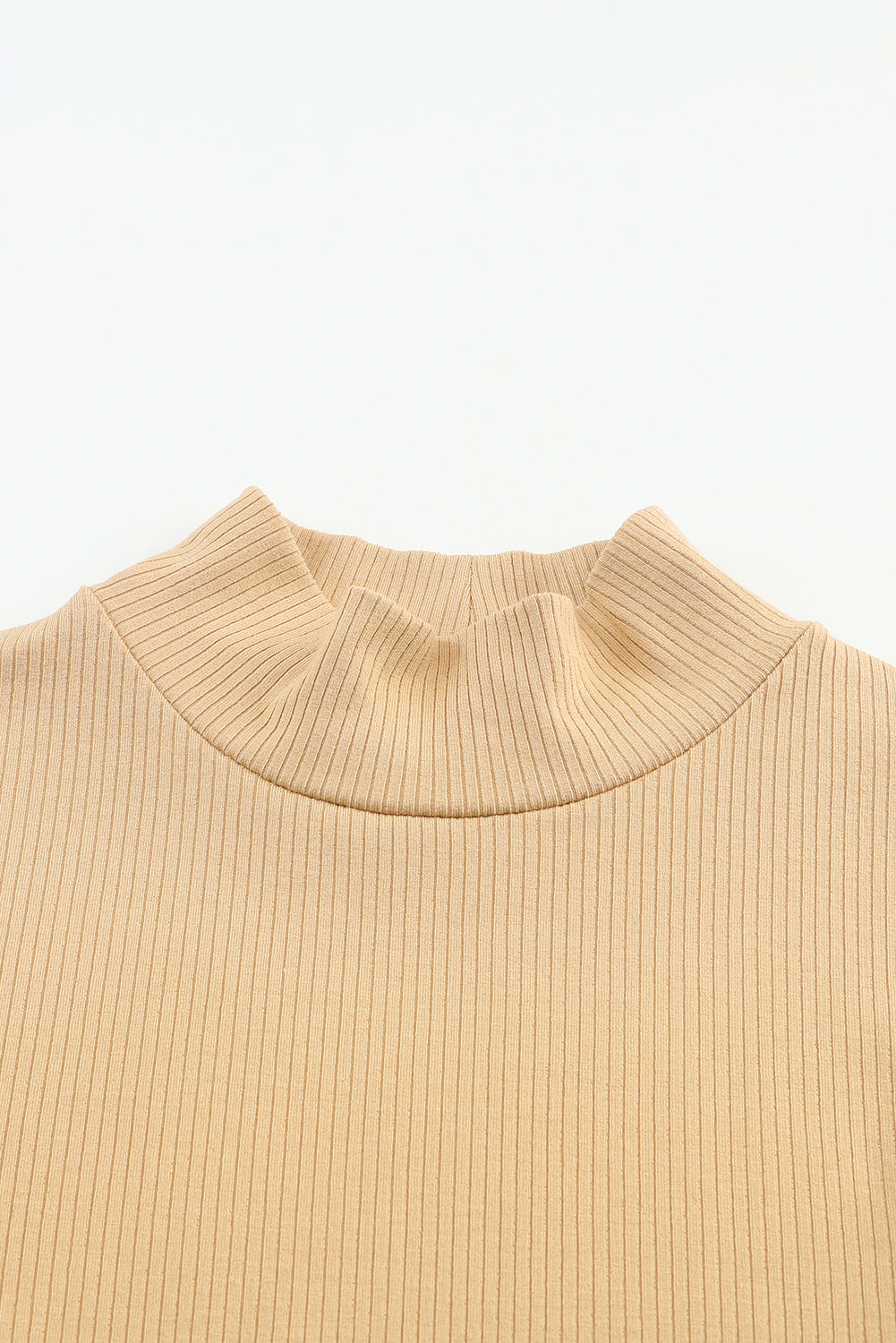 Rose Ribbed Knit High Neck Long Sleeve Top