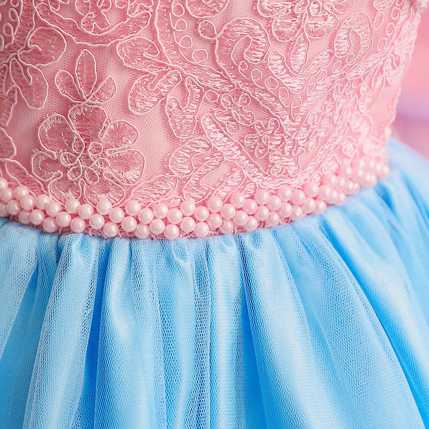 Vintage Embroidery Elegant Princess Dresses