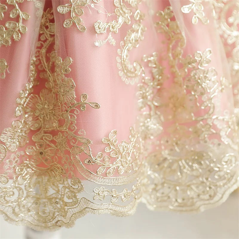 Vintage Embroidery Elegant Princess Dresses