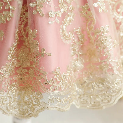 Vintage Embroidery Elegant Princess Dresses