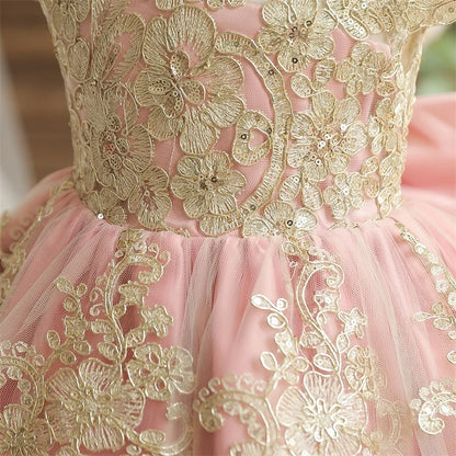 Vintage Embroidery Elegant Princess Dresses