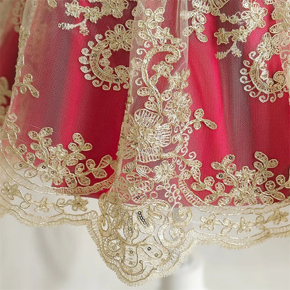 Vintage Embroidery Elegant Princess Dresses