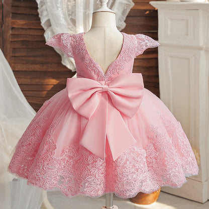 Vintage Embroidery Elegant Princess Dresses