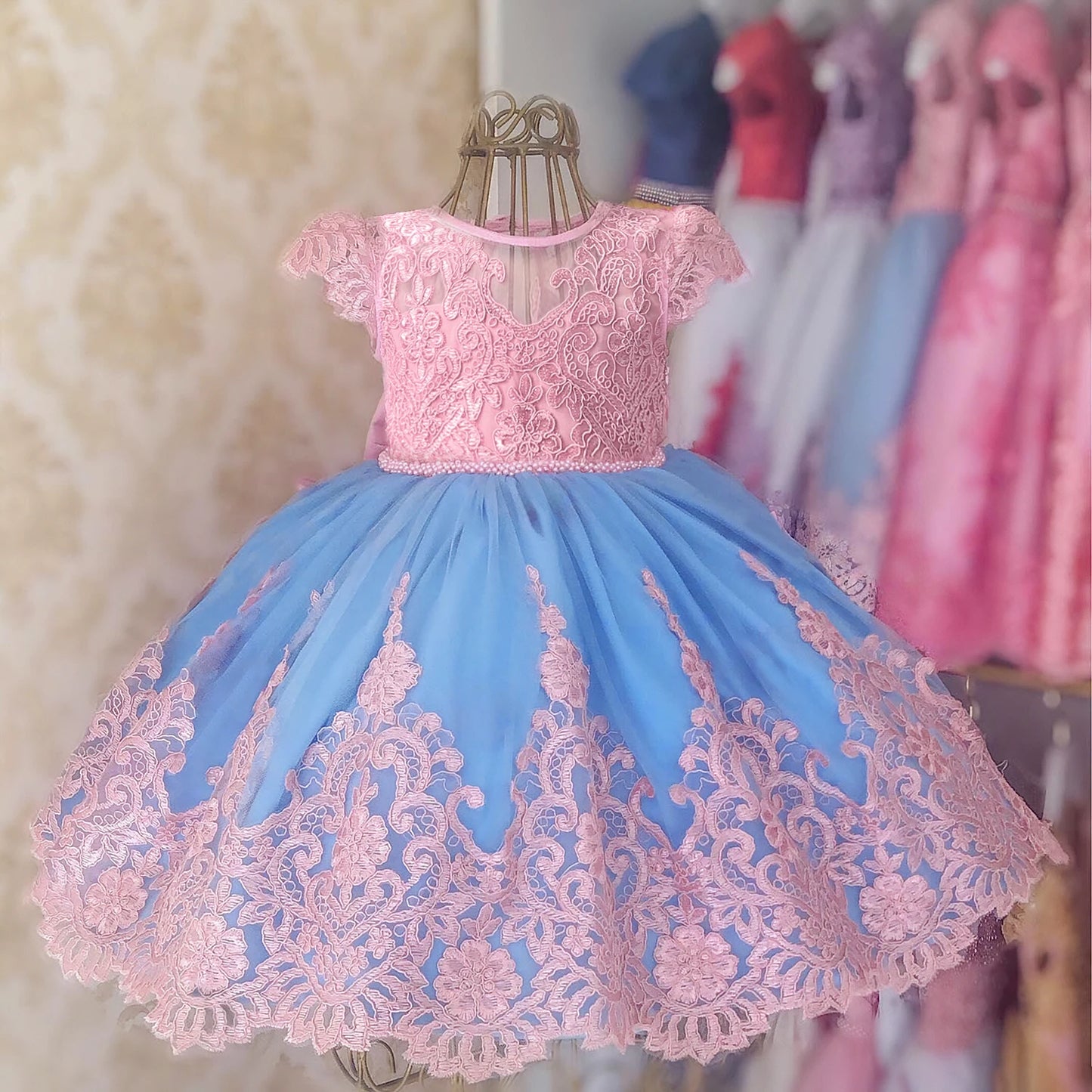 Vintage Embroidery Elegant Princess Dresses