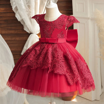 Vintage Embroidery Elegant Princess Dresses