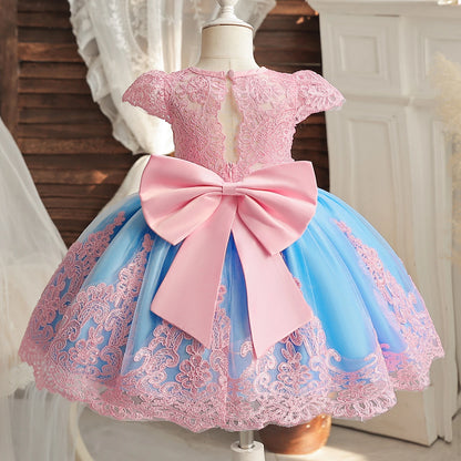 Vintage Embroidery Elegant Princess Dresses