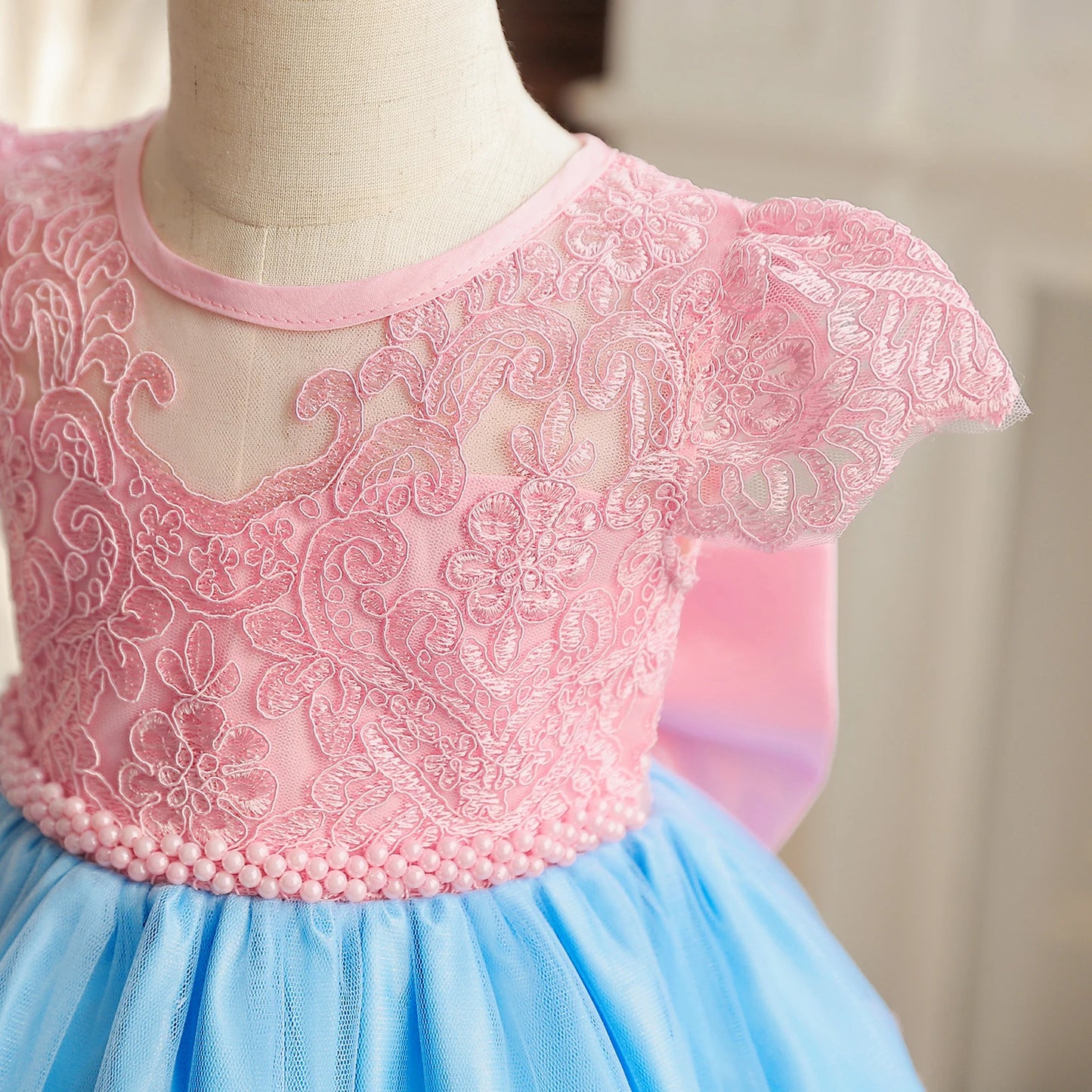 Vintage Embroidery Elegant Princess Dresses