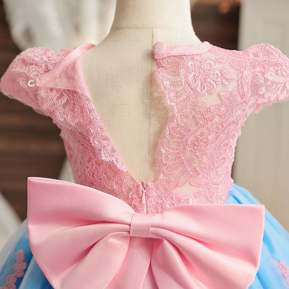 Vintage Embroidery Elegant Princess Dresses