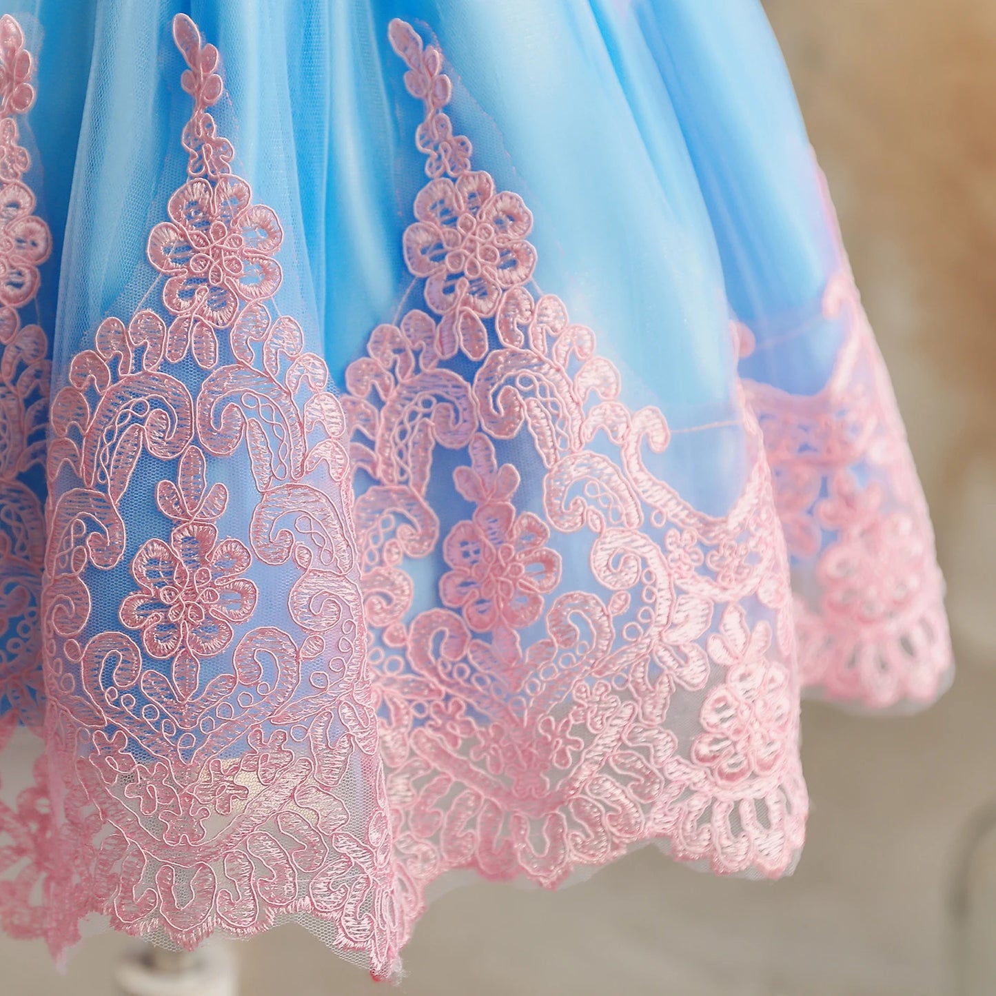 Vintage Embroidery Elegant Princess Dresses