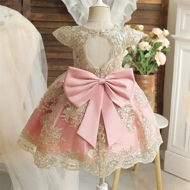 Vintage Embroidery Elegant Princess Dresses