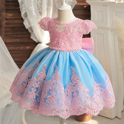 Vintage Embroidery Elegant Princess Dresses