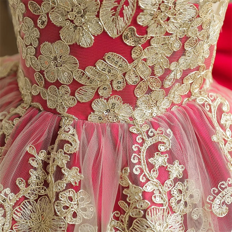 Vintage Embroidery Elegant Princess Dresses